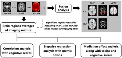 The covariant structural and functional neuro-correlates of cognitive impairments in patients with end-stage renal diseases